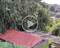 Zolira-2025-10-12 10.17.32 Quiet morning near the chicken coop next to Zolirain Pitiglianoour villa