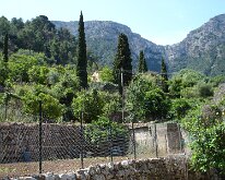 DSC01331