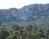 DSC01361