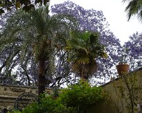 DSC01395