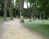 DSC01397