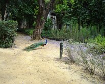DSC01398