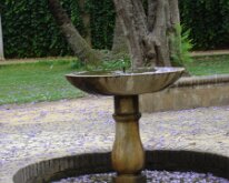 Dsc01399