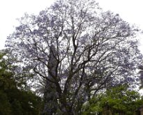 Dsc01404